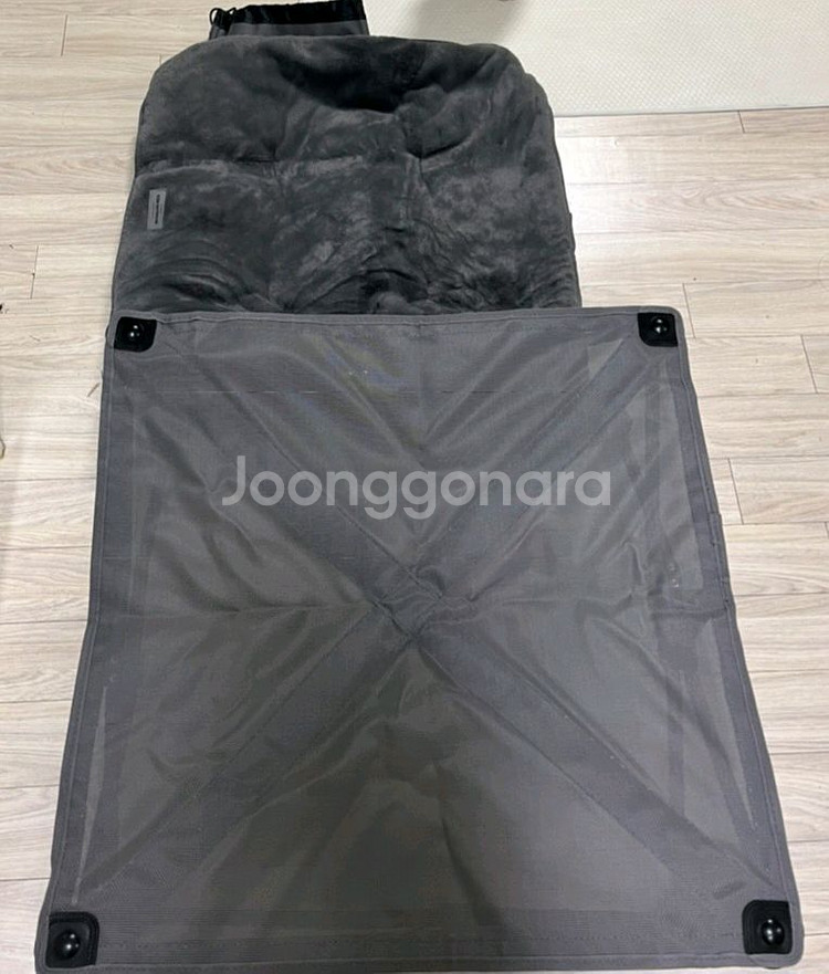 카즈미 펫베드--0