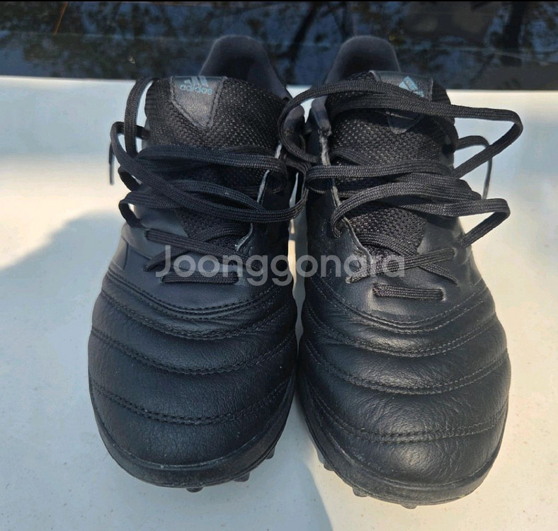 아디다스 코파 19.3 TF 풋살화 260--0