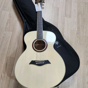 데임 릴리즈 100 기타 (새제품)