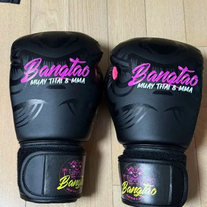 방타오 무에타이 MMA 복싱 글러브 10온스 새제품