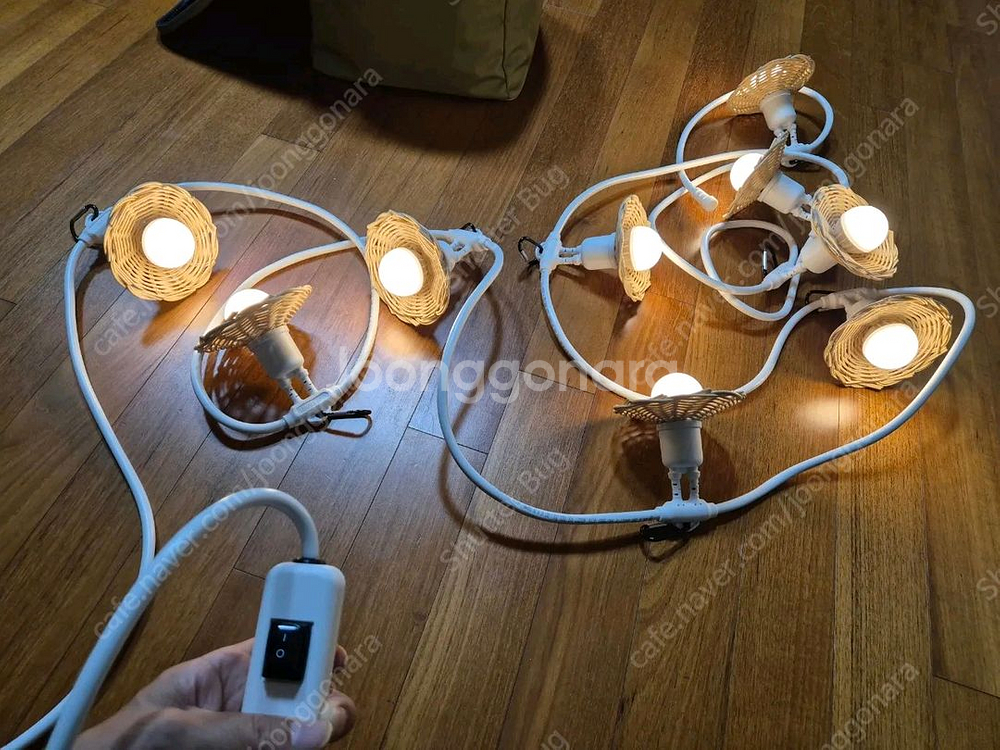 프리모리 디밍9 파티라이트 8만원--0