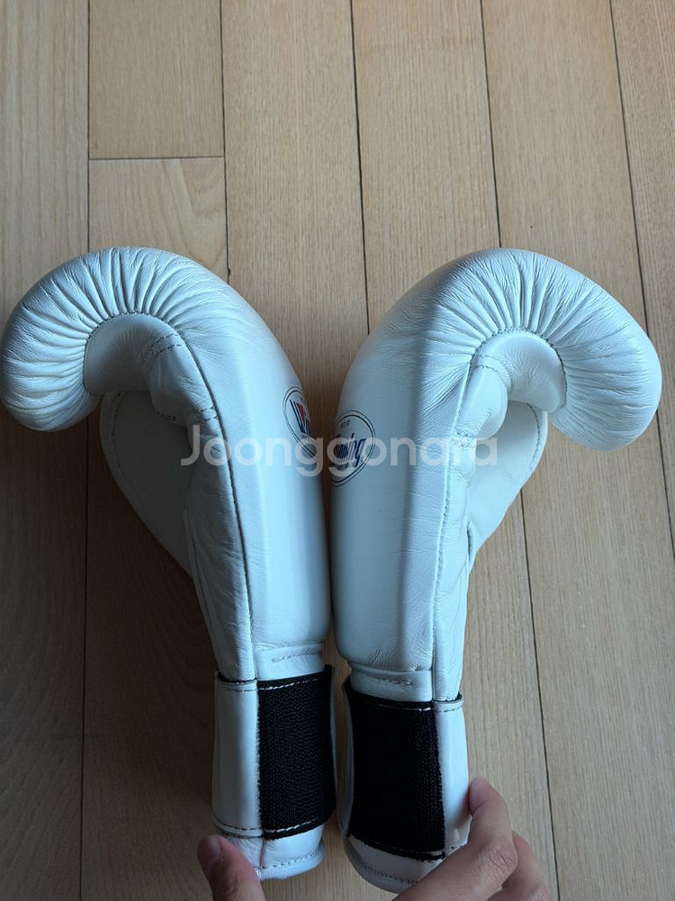 위닝 벨크로 글러브 10온스 화이트--3