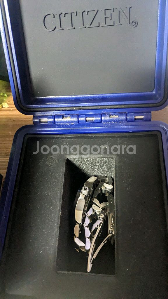 시티즌 프로마스터 BJ7006-56L판매합니다--3