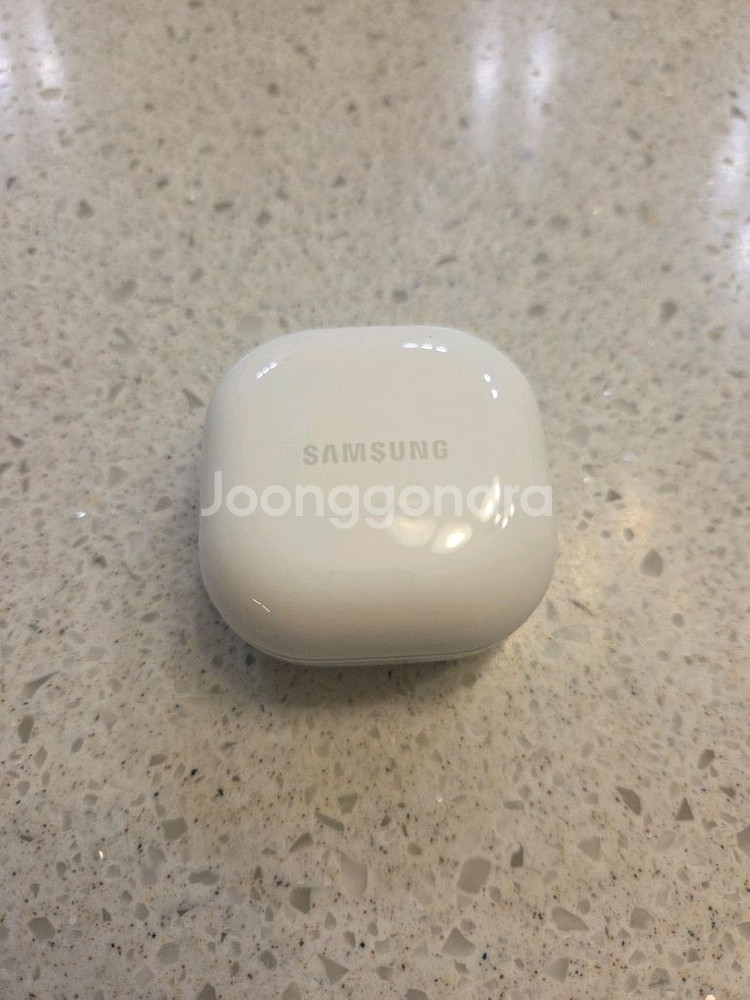 삼성 갤럭시 버즈 FE--1