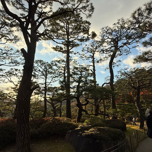 스타벅스 프리퀀시 일반 1장판매(2200원)