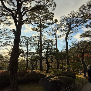 스타벅스 프리퀀시 일반 1장판매(2200원)