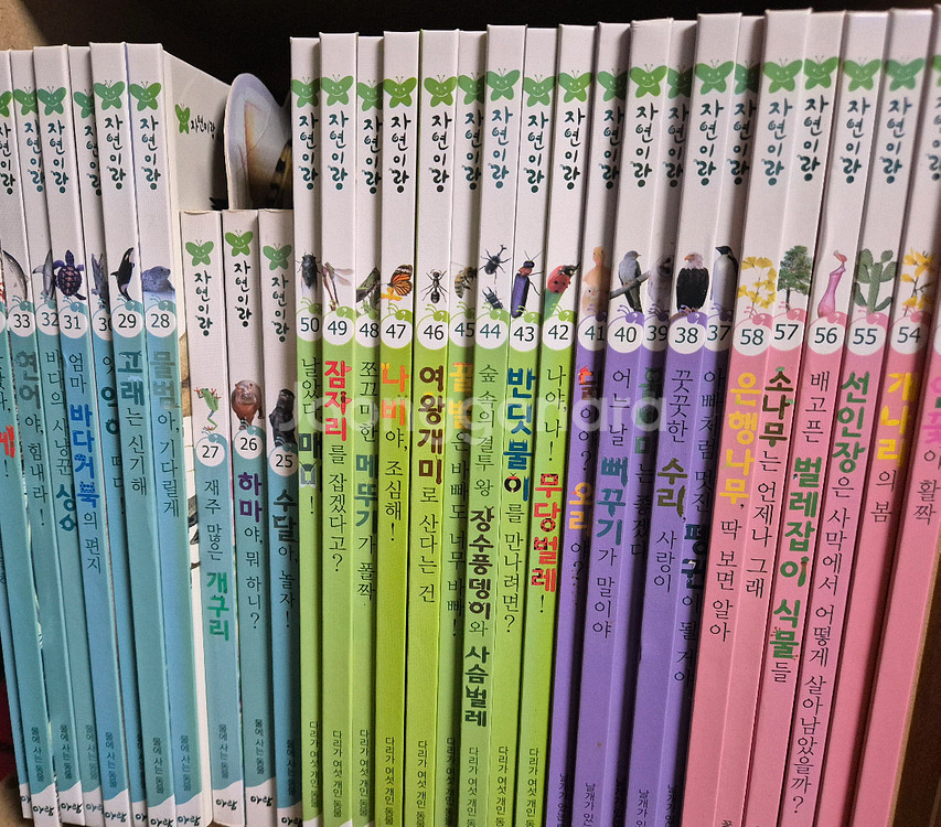 자연이랑(개정전)+dvd+cd외 전구성--0