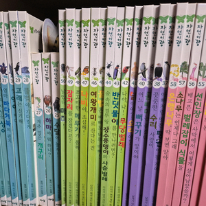 자연이랑(개정전)+dvd+cd외 전구성