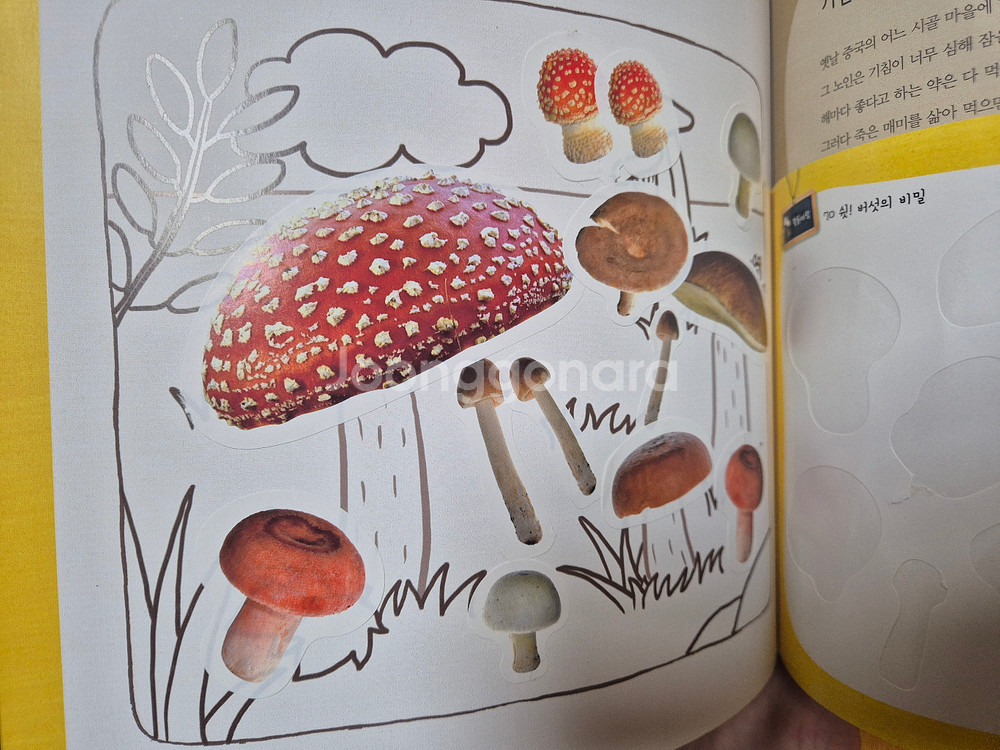 자연이랑(개정전)+dvd+cd외 전구성--5