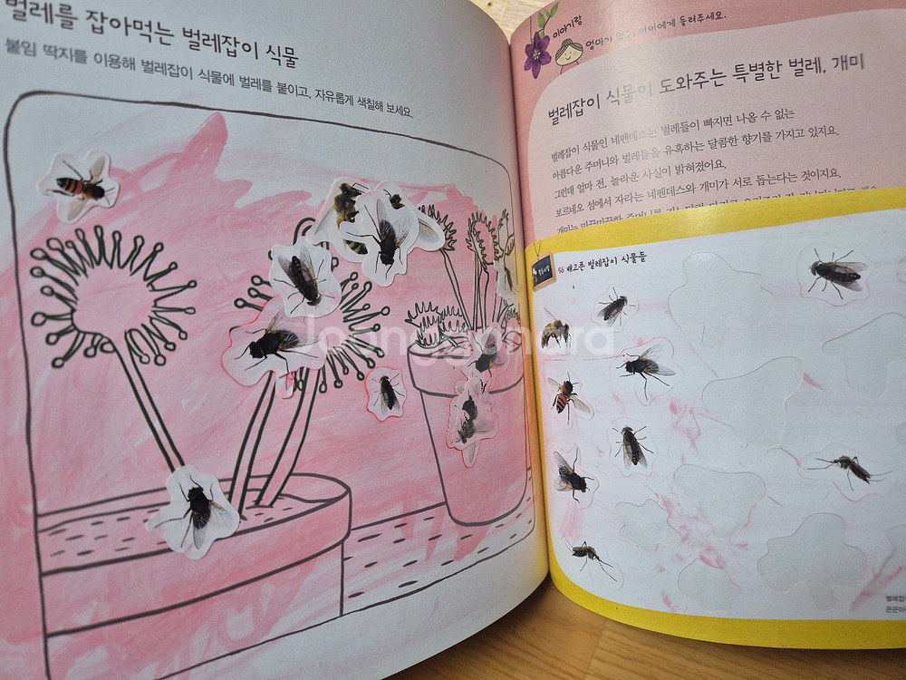 자연이랑(개정전)+dvd+cd외 전구성--6