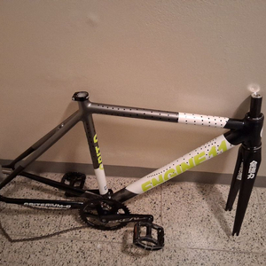 엔진 11 네온차콜