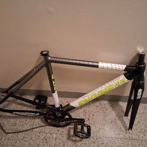 엔진 11 네온차콜