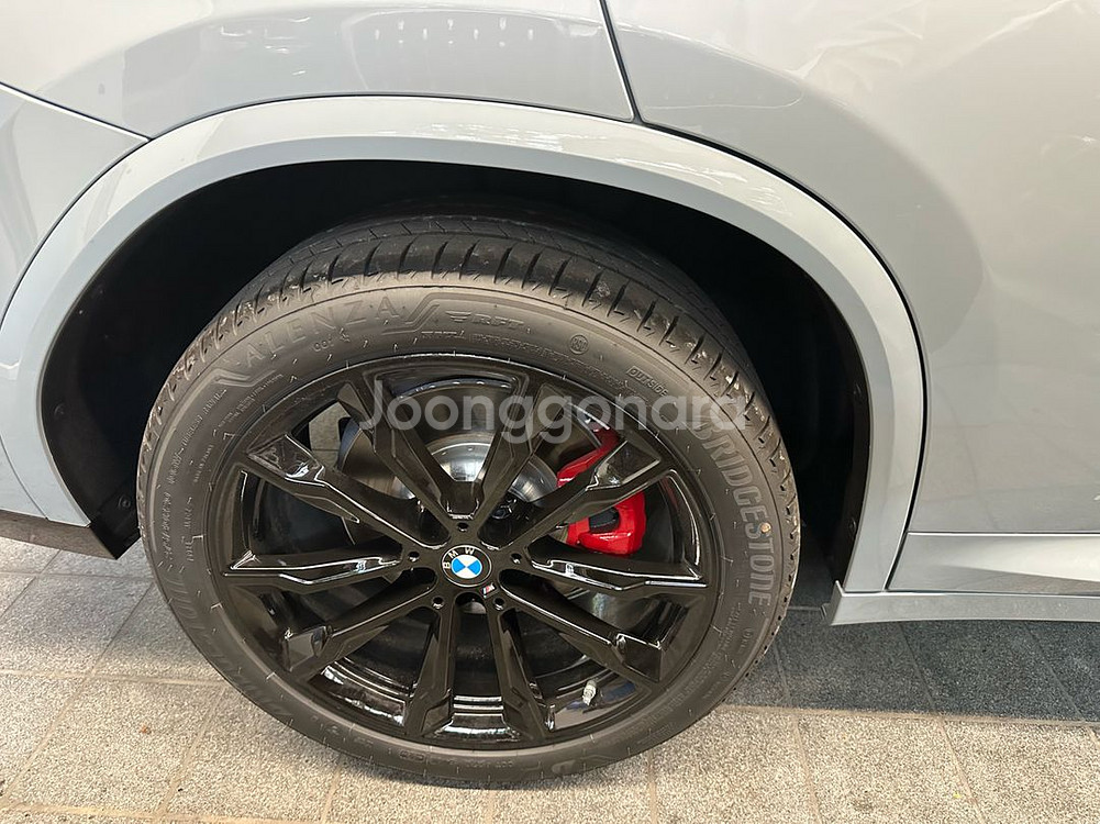 BMW X4 출고 타이어 (브리지스톤 알렌자)--0