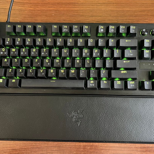 레이저 헌츠맨 V3 PRO TKL 판매합니다