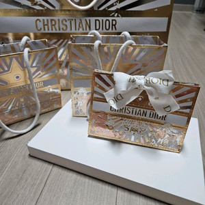 2025디올 홀리데이 스타리모브 블러셔