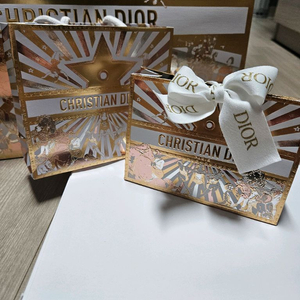 2025디올 홀리데이 스타리핑크 블러셔