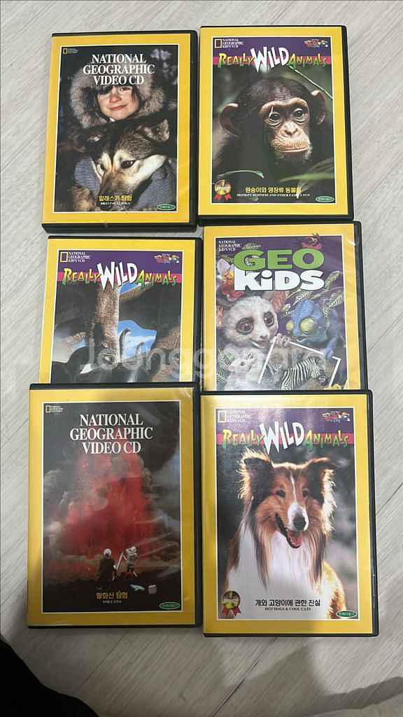 동물 촬영 비디오 CD 6장 세트--0