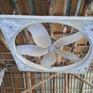 축사용, 산업용 대형 선풍기