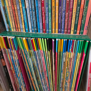 영어원서 베렌스타인 cd 포함