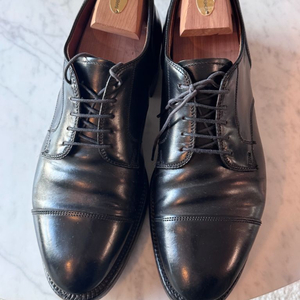 alden 2161 스트레이트팁 8.5E