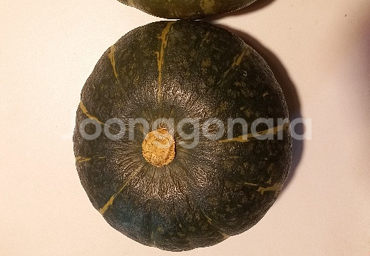 요기요 배달3300포장2700/ 배민 자담치킨 홍콩반점--0