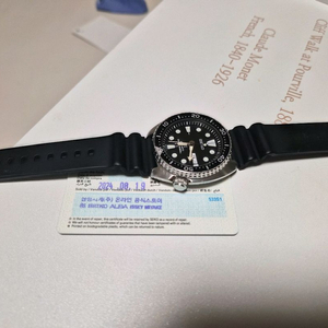 세이코터틀srpe93k팝니다