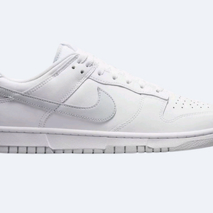 [265] 나이키 덩크 로우 화이트 퓨어 플래티넘
