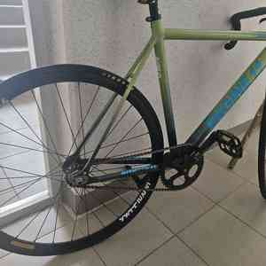 엔진11 볼텍스 픽시