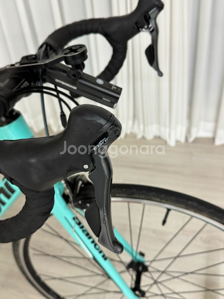 비앙키 니로네7--1