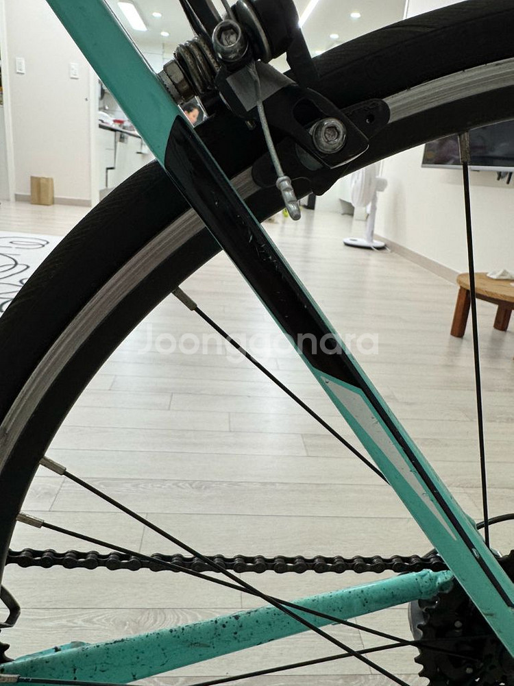 비앙키 니로네7--4