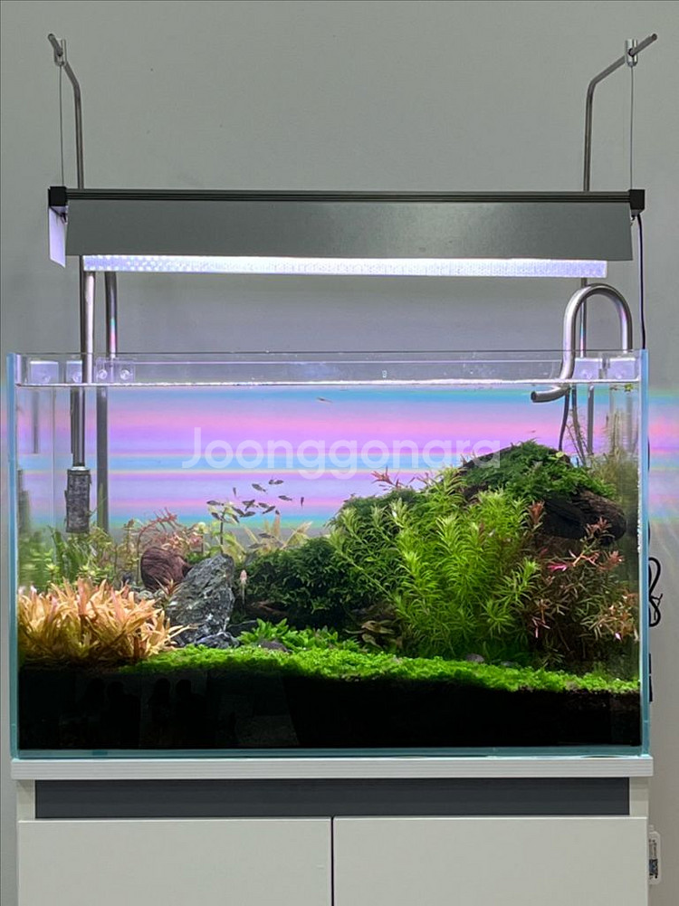 트윈스타s 4세대 600--0