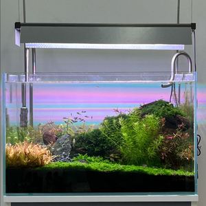 트윈스타s 4세대 600