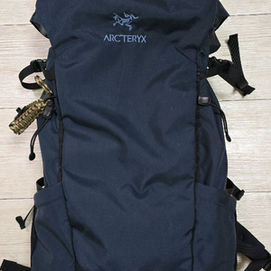 아크테릭스 배낭