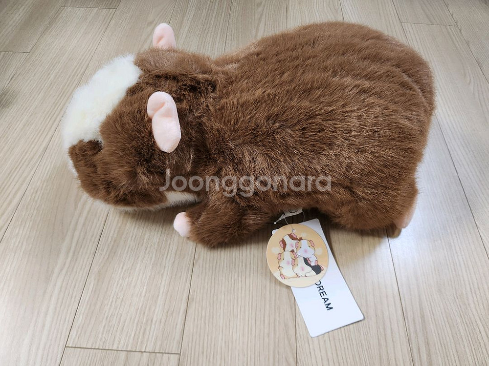 모루못토상 라잉 인형 35센치 새상품--1