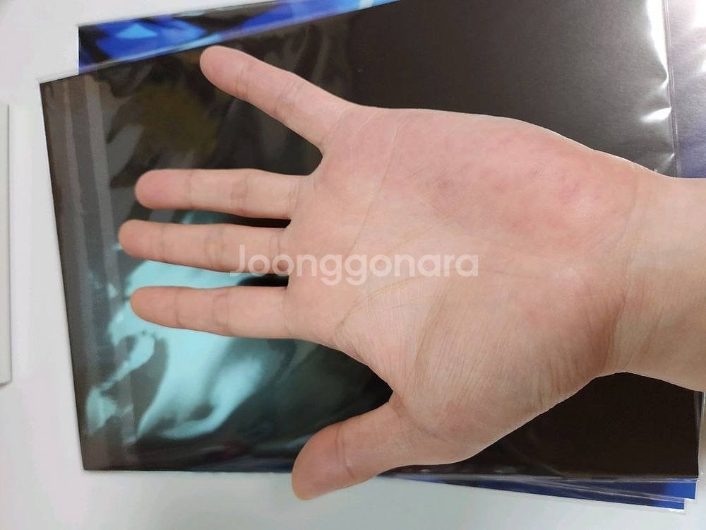 귀멸의칼날 캐스트 인터뷰 북 팝니다--4