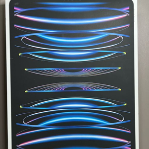 아이패드 프로 6세대 12.9인치 128GB