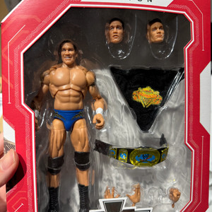 WWE 피규어 얼티밋에디션 랜디오턴 판매합니다.
