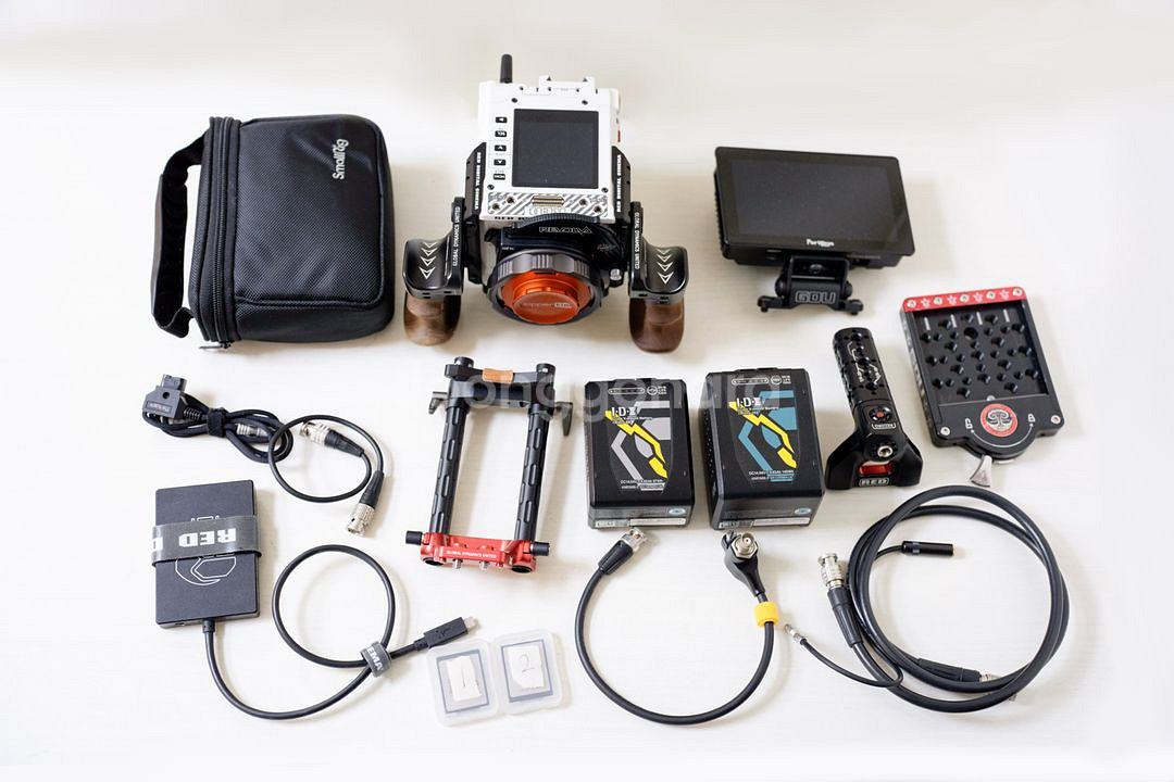 레드 코모도x 팝니다.--2