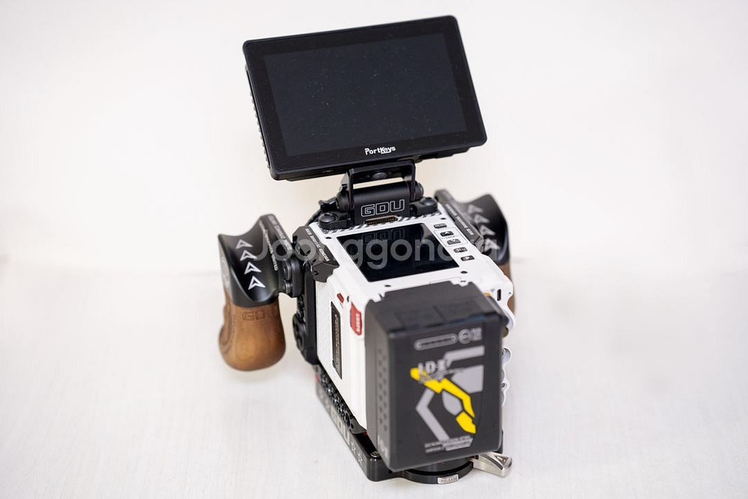 레드 코모도x 팝니다.--1