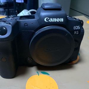 캐논 EOS R5 미러리스 카메라
