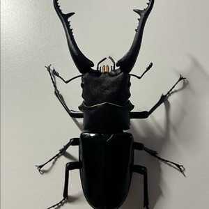 반다이 생물대도감 기라파톱 사슴벌레 다이스케이