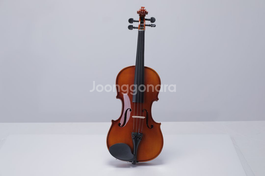 새제품 원목 탑솔리드 바이올린 절반가에 팝니다--2