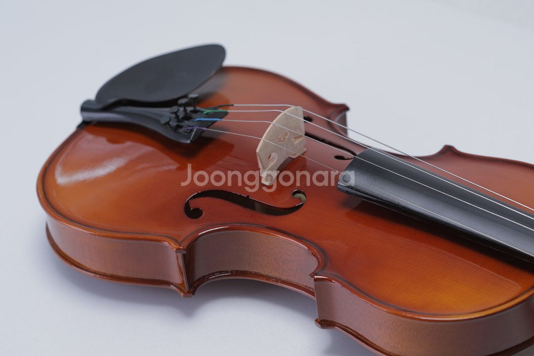 새제품 원목 탑솔리드 바이올린 절반가에 팝니다--3