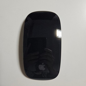 애플 매직마우스2 팝니다. (택포 3만)