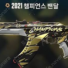 배틀로얄 게임 2021 챔피언스 밴달 스킨 이미지