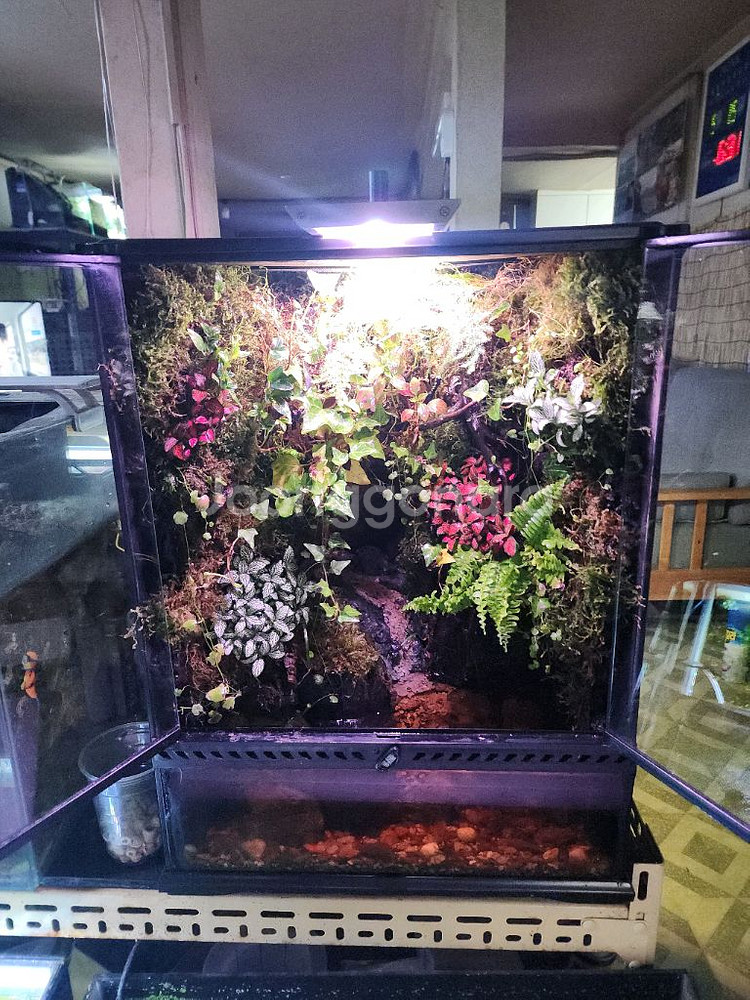 대형 정글 계곡뭂 팔루다리움 사육장--3