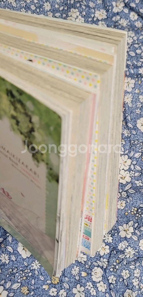 (띠지o) 건방진 그녀석 15, 20, 23 특장판+부록--3