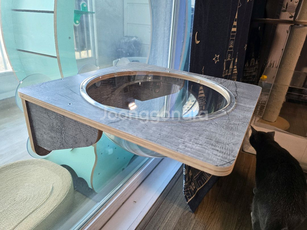 헤라우스 점핑 고양이 투명 해먹--2