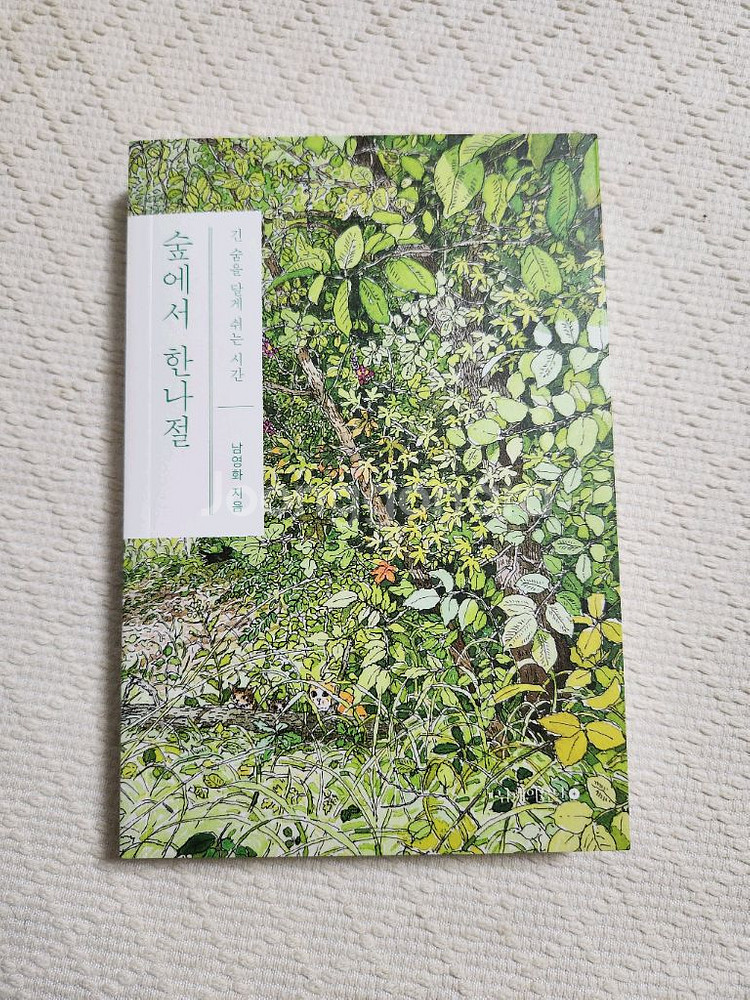 숲에서 한나절 (책)--0