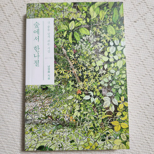 숲에서 한나절 (책)
